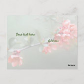 Japanische Zierstille mit Bibelzitat Postkarte (Rückseite)