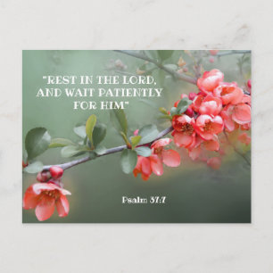 Japanische Zierstille mit Bibelzitat Postkarte