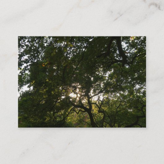 Japanische Zweigstellen 04 Visitenkarte (Vorderseite)