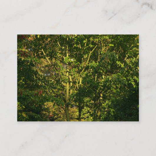 Japanische Zweigstellen 05 Visitenkarte (Vorderseite)