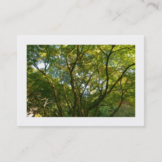 Japanische Zweigstellen 06 (besetzt) Visitenkarte (Vorderseite)