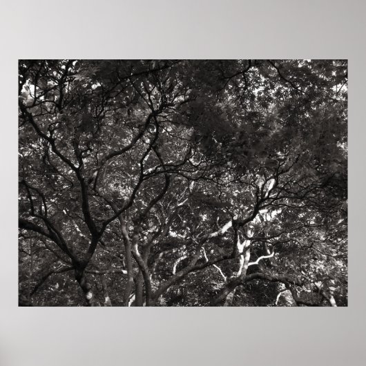 Japanische Zweigstellen Poster (Vorne)