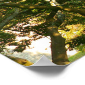 Japanische Zweigstellen VI Poster (Ecke)