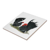 Japanische Zwerghühner gesprenkelt Fliese (Seite)