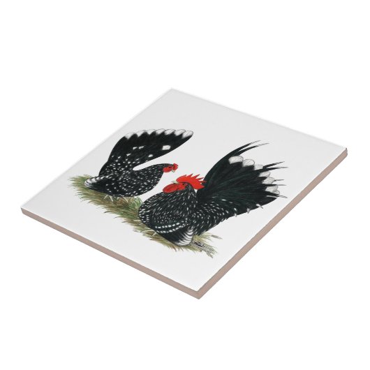 Japanische Zwerghühner gesprenkelt Fliese (Seite)