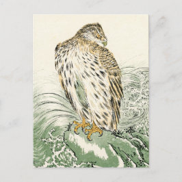 Japanischer Adler Postkarte