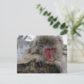 Japanischer Affe entspannt sich im heißen Frühling Postkarte (Stehend Vorderseite)