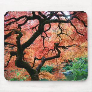 Japanischer Ahorn 1 Mousepad