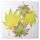 Japanischer Ahorn auf einer Keramik (2) Fliese (Vorderseite)