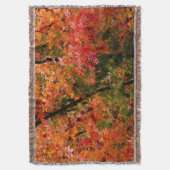 Japanischer Ahorn Decke (Vorderseite Vertikal)