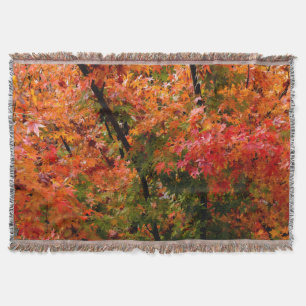 Japanischer Ahorn Decke