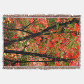 Japanischer Ahorn Decke (Vorderseite)