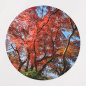 Japanischer Ahorn Etiketten (Design 1)
