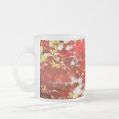 Japanischer Ahorn - Frühjahr Mattglastasse (Links)