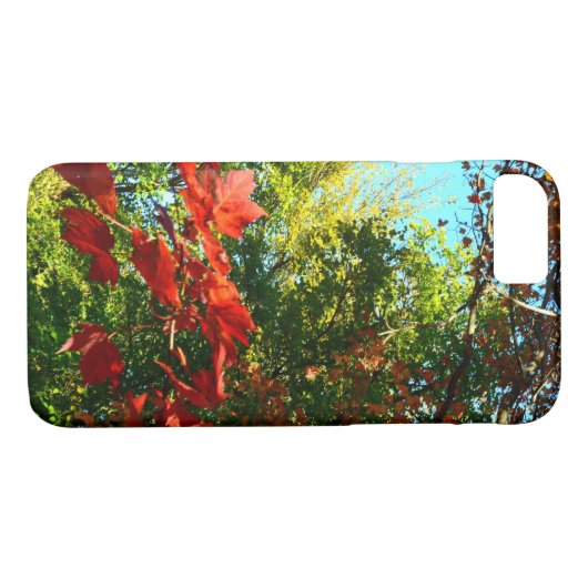 Japanischer Ahorn im Herbst Case-Mate iPhone Hülle (Rückseite (Horizontal))