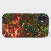 Japanischer Ahorn im Herbst Case-Mate iPhone Hülle (Rückseite (Horizontal))