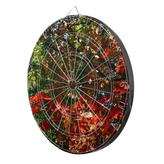 Japanischer Ahorn im Herbst Dartscheibe (Vorderseite rechts)