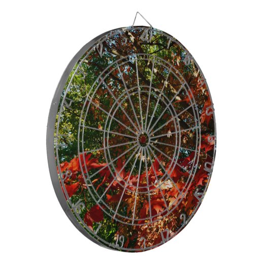 Japanischer Ahorn im Herbst Dartscheibe (Vorderseite Links)