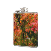 Japanischer Ahorn im Herbst Flachmann (Links)