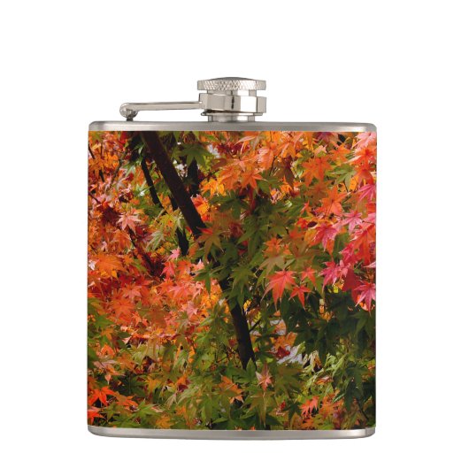 Japanischer Ahorn im Herbst Flachmann (Vorderseite)