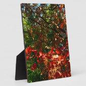 Japanischer Ahorn im Herbst Fotoplatte (Seite)