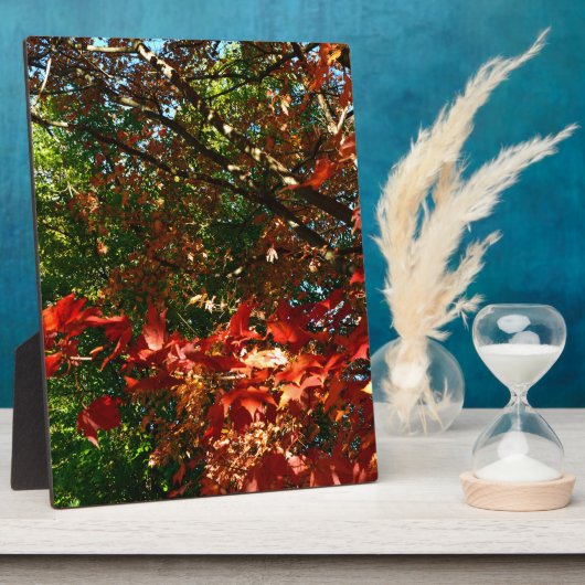 Japanischer Ahorn im Herbst Fotoplatte (Seite)