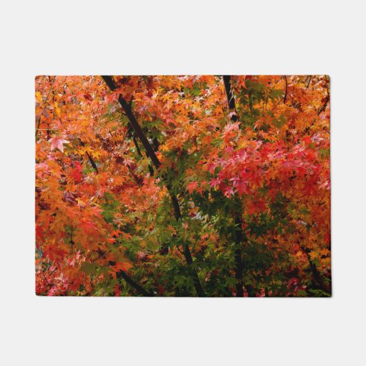 Japanischer Ahorn im Herbst Fußmatte (Vorderseite)