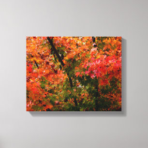 Japanischer Ahorn im Herbst Leinwanddruck