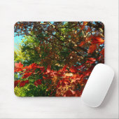 Japanischer Ahorn im Herbst Mousepad (Mit Mouse)