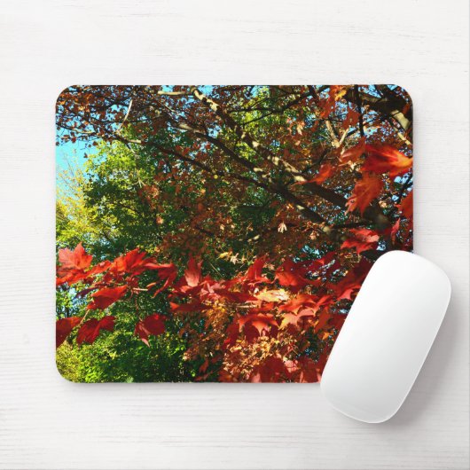 Japanischer Ahorn im Herbst Mousepad (Mit Mouse)