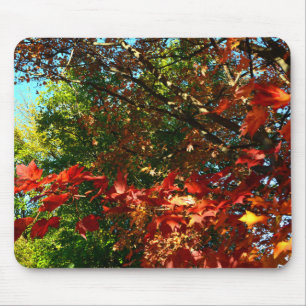 Japanischer Ahorn im Herbst Mousepad
