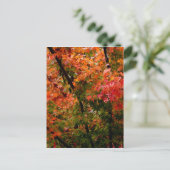 Japanischer Ahorn im Herbst Postkarte (Stehend Vorderseite)