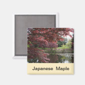 Japanischer Ahorn im Van Dusen Garden Magnet (Vorderseite/Rückseite)