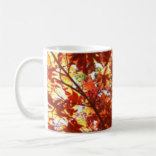 Japanischer Ahorn in der Sonne Kaffeetasse