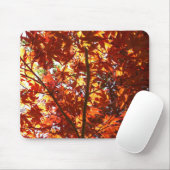 Japanischer Ahorn in der Sonne Mousepad (Mit Mouse)