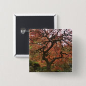 Japanischer Ahorn in Herbstfarbe Button (Vorne & Hinten)