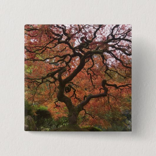 Japanischer Ahorn in Herbstfarbe Button (Vorderseite)