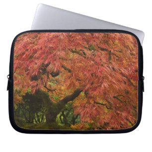 Japanischer Ahorn in Herbstfarbe Laptopschutzhülle