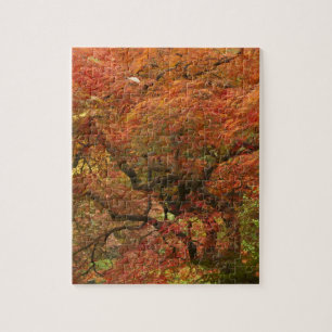 Japanischer Ahorn in Herbstfarbe Puzzle