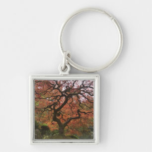 Japanischer Ahorn in Herbstfarbe Schlüsselanhänger