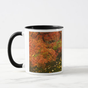 Japanischer Ahorn in Herbstfarbe Tasse