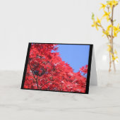 Japanischer Ahorn Karte (Gelbe Blume)