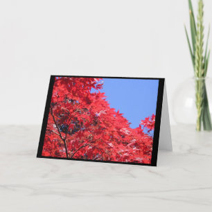 Japanischer Ahorn Karte