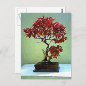 Japanischer Ahorn Postkarte (Vorne/Hinten)