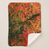 Japanischer Ahorn Sherpadecke (Vorderseite)