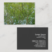 Japanischer Ahorn Visitenkarte (Vorne/Hinten)