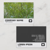 Japanischer Ahorn Visitenkarte (Vorne/Hinten)