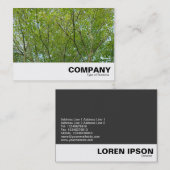 Japanischer Ahorn Visitenkarte (Vorne/Hinten)