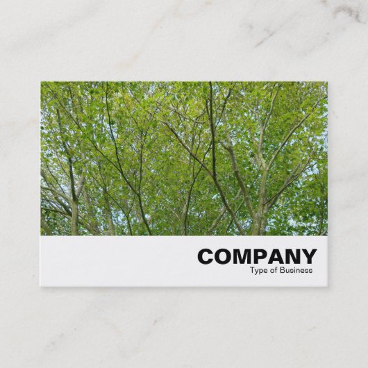 Japanischer Ahorn Visitenkarte (Vorderseite)