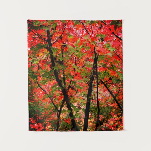Japanischer Ahorn Wandteppich (Vorderseite)